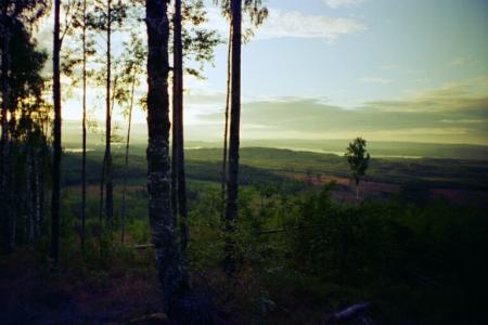 gallery_13006_1597_62379.jpg