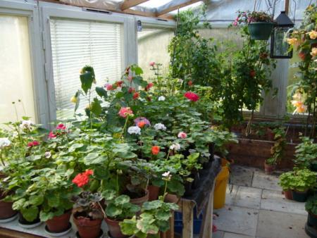 gallery_13006_1627_11552.jpg