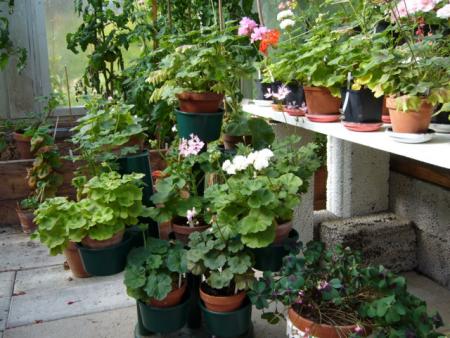 gallery_13006_1627_51845.jpg