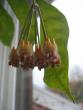 tn_gallery_1414_1642_291.jpg