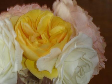 gallery_11241_963_35411.jpg