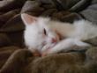 tn_gallery_11241_1666_24694.jpg