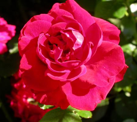 gallery_276_1646_42809.jpg