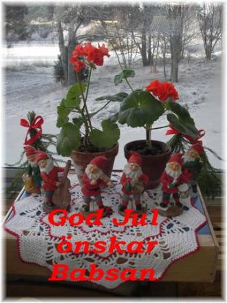 gallery_13145_1560_42969.jpg