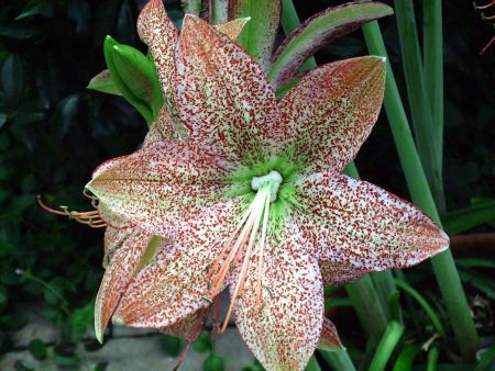 gallery_2004_1622_44753.jpg