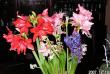 tn_gallery_1786_950_57454.jpg