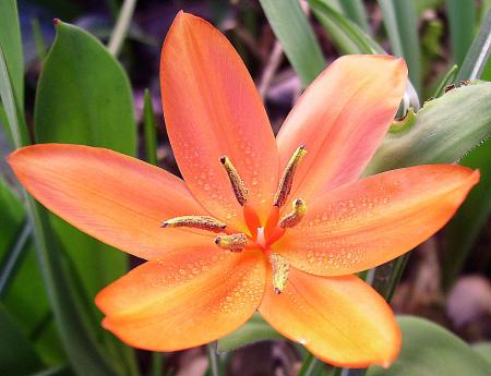 gallery_2004_133_114195.jpg