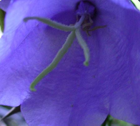 gallery_2004_133_64130.jpg