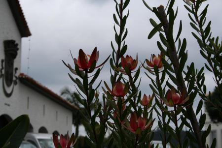 gallery_8418_1683_209650.jpg