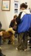 tn_gallery_7103_668_3385.jpg