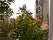 tn_gallery_8418_1683_146738.jpg