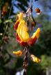 tn_gallery_8418_1683_20495.jpg
