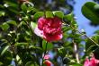 tn_gallery_8418_1683_20850.jpg