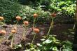 tn_gallery_8418_1683_242417.jpg