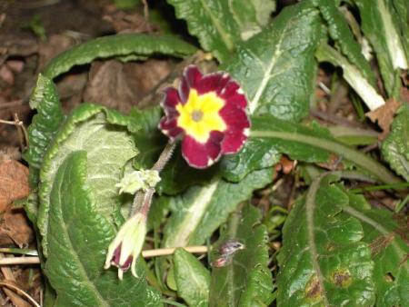 gallery_12962_1656_5126.jpg