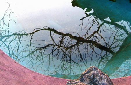 gallery_6592_286_147426.jpg