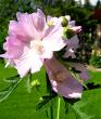 tn_gallery_6592_286_69249.jpg