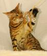 tn_gallery_1090_960_10067.jpg