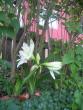 tn_gallery_8418_561_42285.jpg