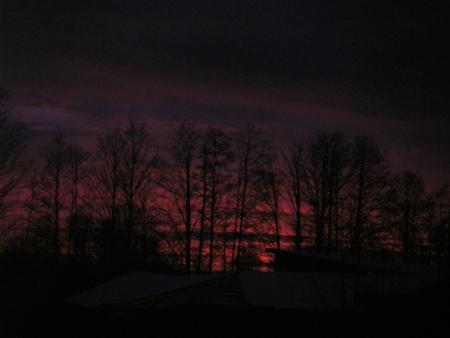 gallery_13303_1699_54198.jpg