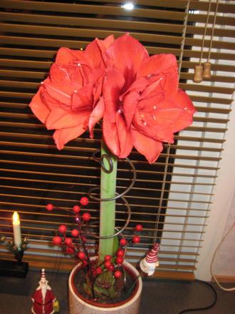 gallery_14_180_86344.jpg