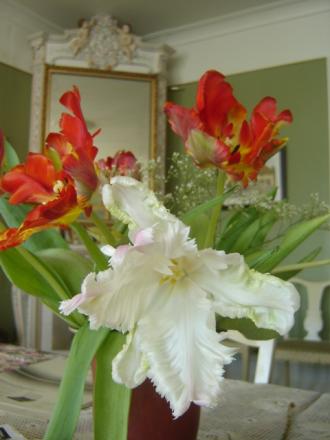 gallery_2985_1331_100375.jpg