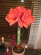 tn_gallery_14_180_86344.jpg