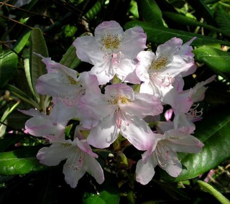 gallery_387_1709_70665.jpg