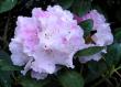 tn_gallery_387_1708_43268.jpg