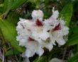 tn_gallery_387_1708_43656.jpg