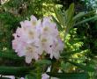 tn_gallery_387_1709_25744.jpg