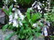 tn_gallery_72_1707_20223.jpg