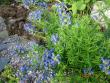 tn_gallery_72_1707_38354.jpg