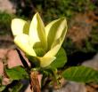 tn_gallery_387_1338_37234.jpg