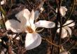 tn_gallery_387_1338_55124.jpg