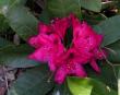 tn_gallery_387_1709_17363.jpg