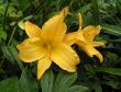 tn_gallery_387_1217_10026.jpg