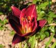 tn_gallery_387_1217_14412.jpg