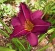 tn_gallery_387_1217_40956.jpg