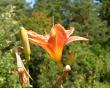 tn_gallery_387_1217_42993.jpg