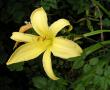 tn_gallery_387_1217_67361.jpg
