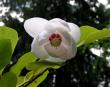 tn_gallery_387_1338_10133.jpg