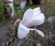tn_gallery_387_1338_30374.jpg