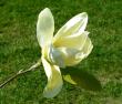 tn_gallery_387_1338_38260.jpg