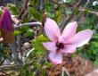 tn_gallery_387_1338_7878.jpg