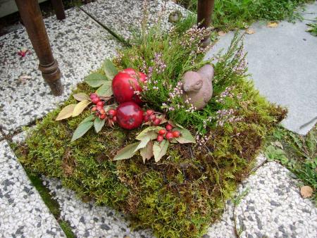 gallery_13447_1715_134304.jpg