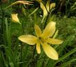 tn_gallery_387_1217_44562.jpg