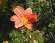 tn_gallery_387_1217_47296.jpg
