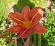 tn_gallery_387_1217_60174.jpg