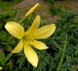tn_gallery_387_1217_71639.jpg